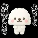 ず～っと使える♡かわいいトイプーさん♡白