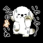動く犬さん 2025 「暑い夏」