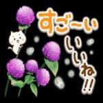ほんわかさん【お花の仲良し言葉】No.3５