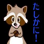 水曜ドラマ「わたしのお嫁くん」