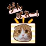 たれ耳ねこちゃん_見やすい！使いやすい♪