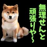 かなしいです