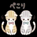 毎日使える♡大人可愛い