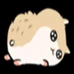 ハムスターの子