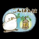 敬語が話せる！もふもふインコ