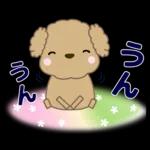 🐶犬の冒険物語