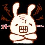 喜びセット🎁
