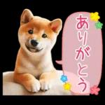 あと一日	金曜日だ！🤕