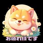 しばころ春コレ