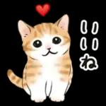 毎日☆猫たちのスタンプ
