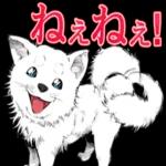 今日も良い一日を✨	頑張っていきましょう🍀