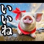 リアル☆メスブタ 3