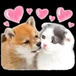 しばにゃんこスタンプ