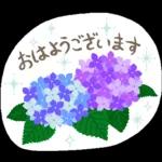 猫さん。梅雨・初夏のやさしいメッセージ