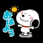 は