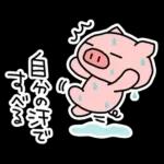 ぶたたの夏（1）🐷