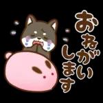 黒豆柴 あずき♡毎日使える 秋冬ver