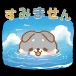 【納涼】しばワンコの夏を楽しむスタンプ