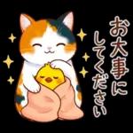 三毛猫のつめあわせ【秋】
