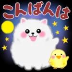 ポメラニアン❤️ぽちゃん「秋」