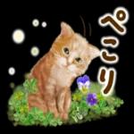 良い一日をなりますように！