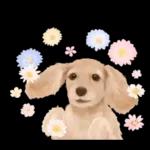 大人かわいい♡いぬと花のスタンプ