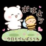 やっと晴れてきたかな？