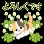 ころころ子猫 春の野原でかくれんぼ