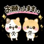 ねこねこにゃんこ♡カラフルmix