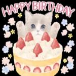 願いが叶いますように！