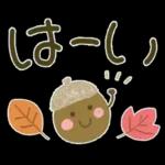 大人の気遣い♡31秋ふわり