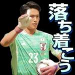ワールドカップ