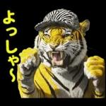 大阪神戸の野球好き虎ファン向け2