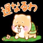 楽しんできてやねーー帰るで