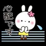 優しい2!!かわいい白うさぎ