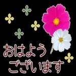 open おはよう ございます