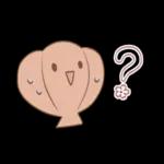 🌞朝の挨拶セット