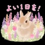 めっちゃ可愛い🫣🫣🫣