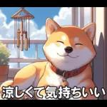 夏の天気をお知らせする柴犬【便利・日常】