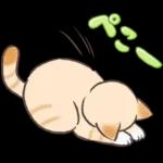 スナネコのサシャ 2