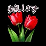 毎日使える お花 敬語✿大人上品お花