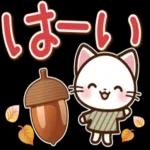 寒暖差にご注意くださいね〜