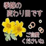 寒くなりましたね〜お体を大切に〜