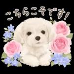 大人かわいい♡いぬと花のスタンプ