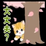 ころころ子猫 春の野原でかくれんぼ