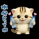 ねこちぃず♡夏スタンプ