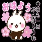 おはようございます