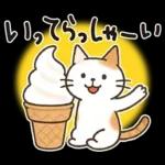 猫ちゃんとスイーツと夏