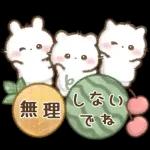 飛びだす♡しろいこ組
