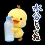 ずっと使える♡3D ひよこの夏